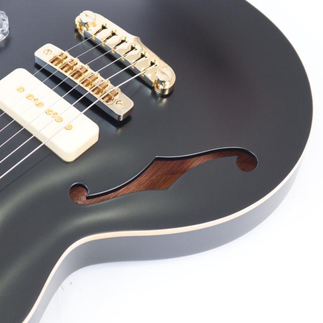APII PE-5350GE/SH MTBK エレキギター_5