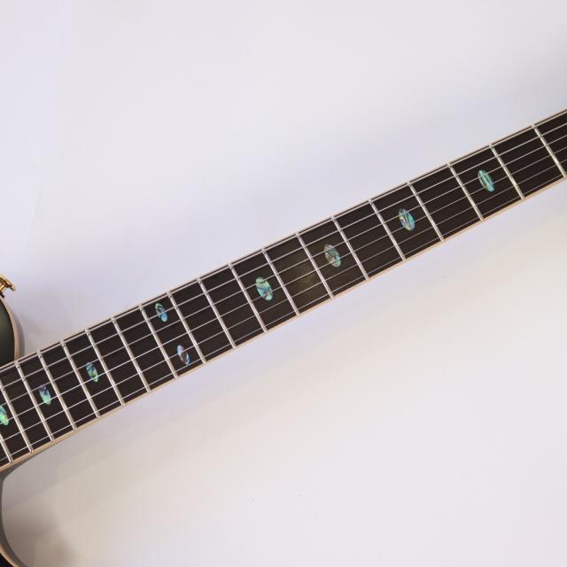 APII PE-5350GE/SH MTBK エレキギター_6