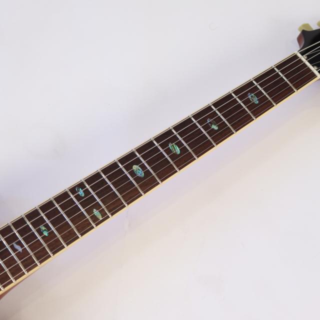 APII PE-5450CR GD エレキギター_5