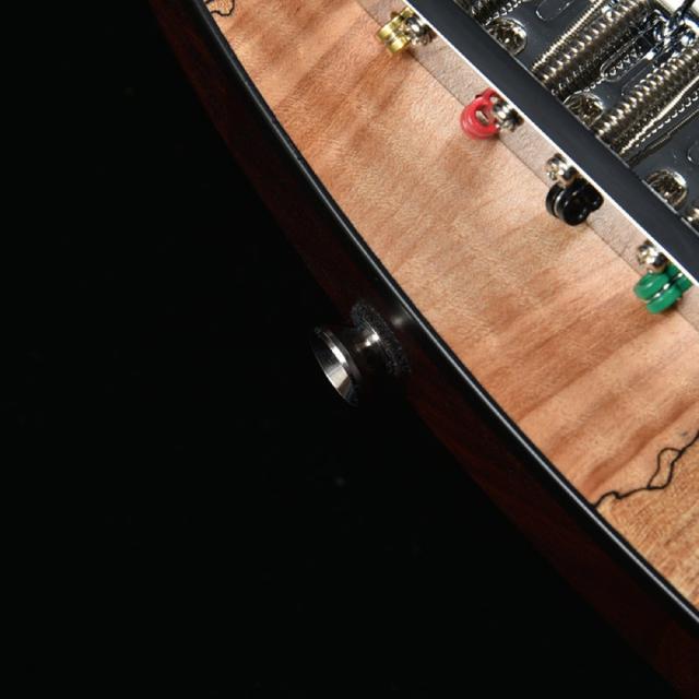BACCHUS バッカス Japan Tune-up Series WL4-SPM RSM/M NAS エレキベース_2