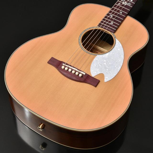 GUITAR LIFE -LESSON1- ギターライフ 2025年最新】Yahoo!オークション -ライブ(け)の中古品・新品・未