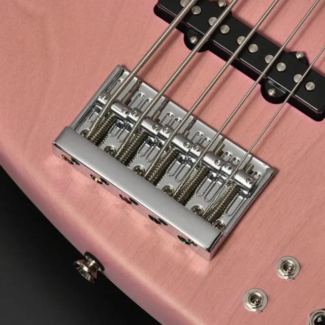 BACCHUS バッカス Japan Tune-up Series WL524 H.J.FREAKS PINKS 5弦