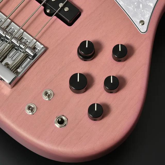 バッカス　ベース BACCHUS バッカス Japan Tune-up Series WL524 H.J.FREAKS PINKS 5弦