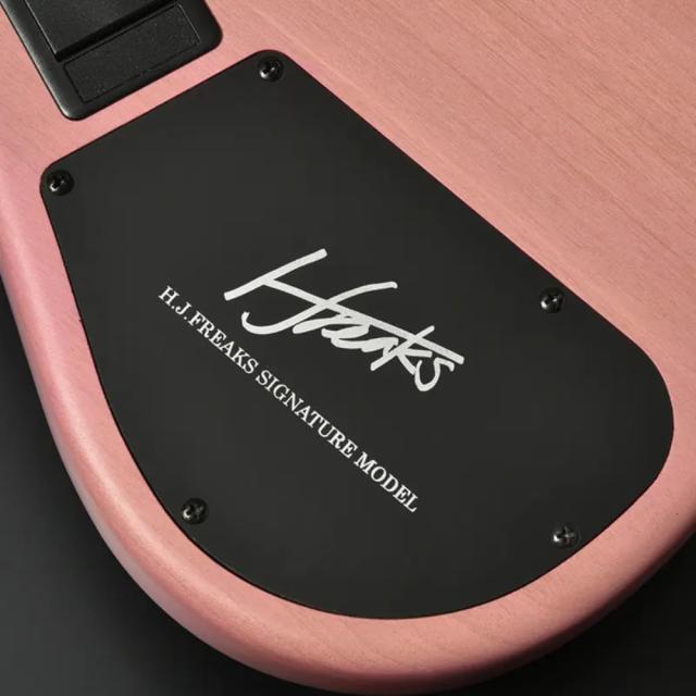 BACCHUS バッカス Japan Tune-up Series WL524 H.J.FREAKS PINKS 5弦