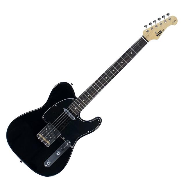 FUJIGEN フジゲン FGN Neo Classic NTE100RAL BK テレキャスタータイプ