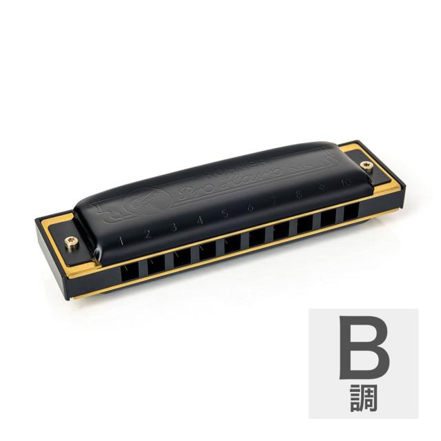 HOHNER ホーナー Pro Harp 562/20P B 10ホールハーモニカ ブルース