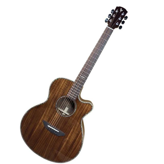 DCT VR-645K CE エレクトリックアコースティックギター 56,760円