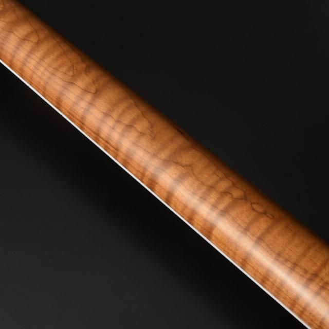 BACCHUS バッカス Global Series TACTICS24-ASH BPM WBD エレキギター_9