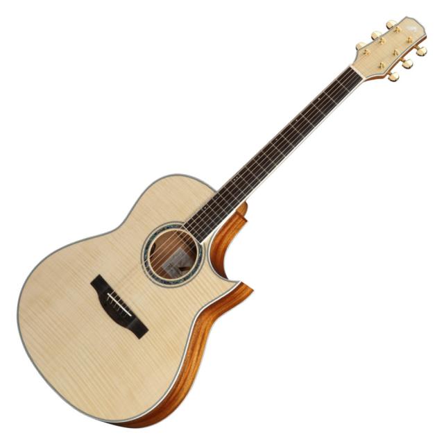 MORRIS モーリス TC-16 NAT エレクトリックアコースティックギター