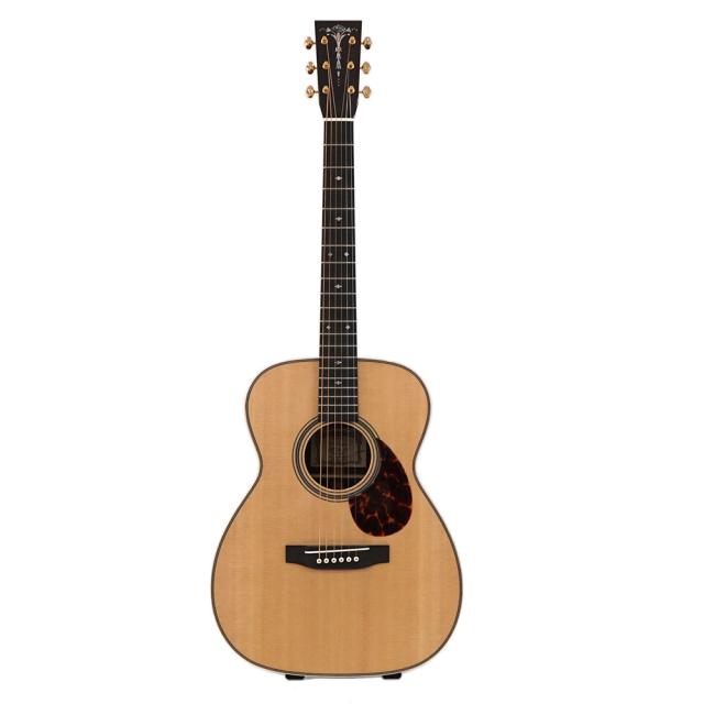 ASTURIAS EC CUSTOM アコースティックギター セミハードケース付きの