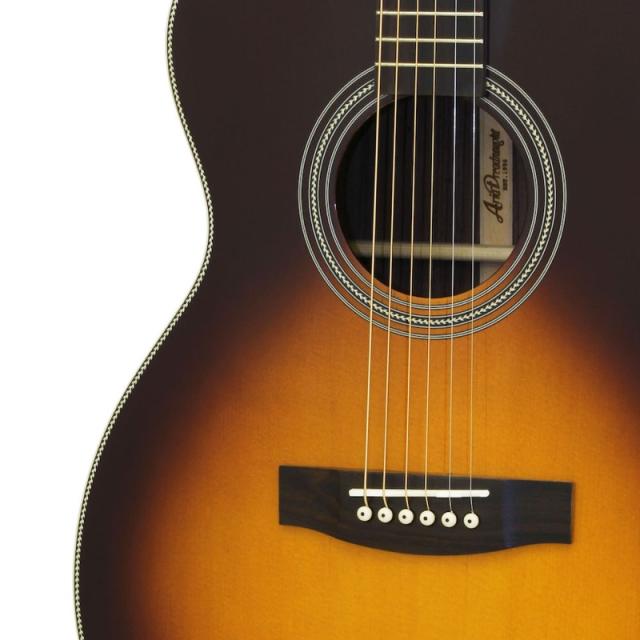 ARIA AF-501 TS アコースティックギター_2