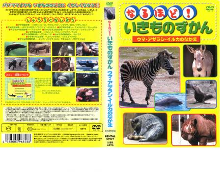 Cs なるほど いきものずかん ウマ アザラシ イルカのなかま 中古dvd レンタル落ちの通販はau Pay マーケット 2日10 00 9日9 59 Big Saleクーポン有 お宝イータウン