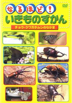 ケース無 なるほど いきものずかん チョウ クワガタムシのなかま 中古dvd レンタル落ちの通販はau Pay マーケット お宝イータウン
