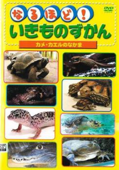 ケース無 なるほど いきものずかん カメ カエルのなかま 中古dvd レンタル落ちの通販はau Pay マーケット お宝イータウン Au Pay マーケット店