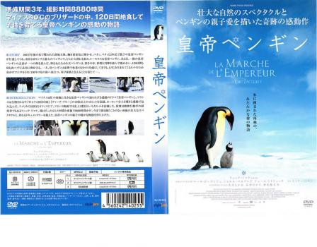 皇帝ペンギン 中古DVD レンタル落ちの通販はau PAY マーケット - 遊ING長崎三重店 au PAY マーケット店 | au PAY  マーケット－通販サイト