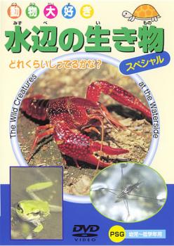 ケース無 動物大好き 水辺の生き物 スペシャル 中古dvdの通販はau Pay マーケット お宝イータウン
