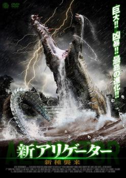 マーフィーの愛の法則 全16枚 第1話〜第31話 最終 レンタル落ち 全巻セット 中古 DVD 訳ありマーフィーの愛の法則 全16枚 第1話〜第31話 最終 \u203bディスク