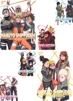 NARUTO ナルト 疾風伝 九尾掌握と因果なる邂逅の章 全6枚 中古DVD 全巻 