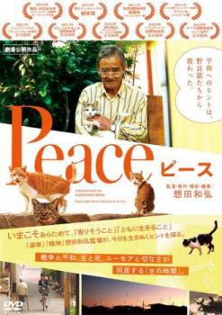 Peace ピース 中古DVD レンタル落ち｜au PAY マーケット