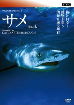 BBC ワイルドライフ スペシャル2 サメ 中古DVD レンタル落ち