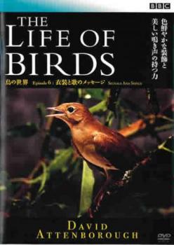 BBC ライフ・オブ・バーズ/鳥の世界 DVD-BOX