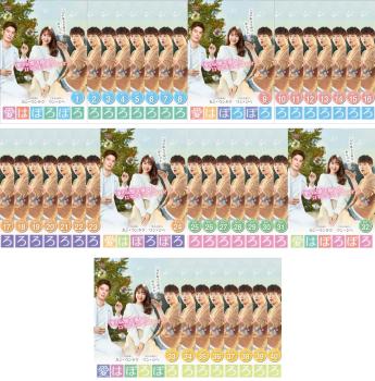 愛はぽろぽろ 全40枚 第1話〜第120話 最終【字幕】 中古DVD 全巻セット レンタル落ちの通販は