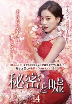 秘密と嘘 14(第40話〜第42話)【字幕】 中古DVD レンタル落ち