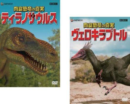 肉食恐竜の真実 全2枚 ティラノサウルス、ヴェロキラプトル 中古