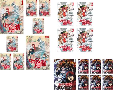 DVD/国内TVドラマ/俺の話は長い DVD-BOX (本編ディスク5枚+特典