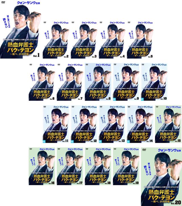 熱血弁護士 パク・テヨン 飛べ、小川の竜 全20枚 第1話〜第40話 最終【字幕】 中古DVD 全巻セット レンタル落ち ケース無