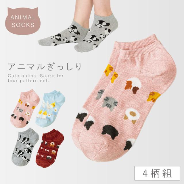 靴下 動物 レディース 【4柄組】 22-25cm アニマル ソックス