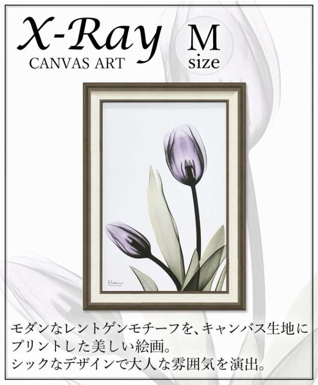 絵画 アートパネル 絵 花 モダン おしゃれ X Ray キャンバスアート チューリップ Xr 101の通販はau Pay マーケット ココチのくらし雑貨店