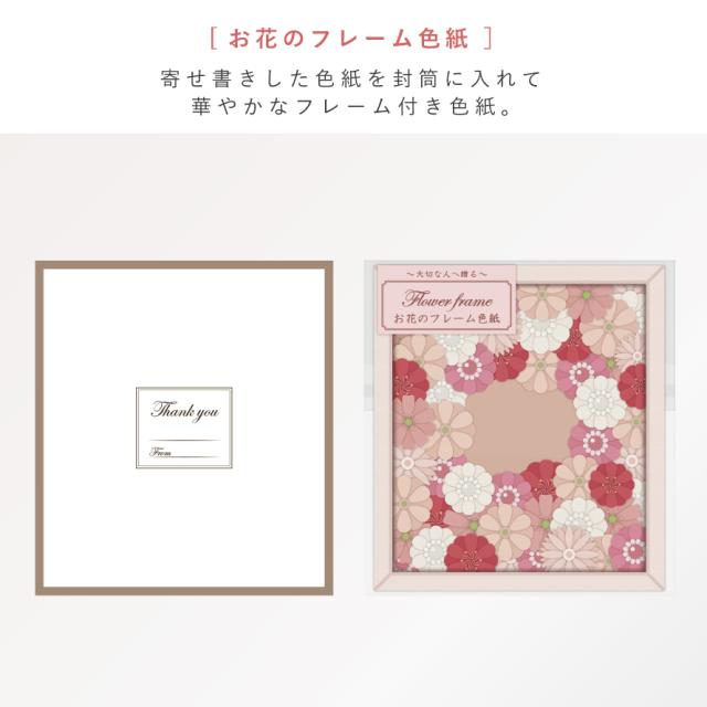 寄せ書き色紙 色紙 寄せ書き カード 大人数 メッセージカード 卒業 お