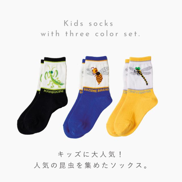 靴下 子供 キッズ 3柄組 15-20cm 男の子 虫 昆虫 柄 名前が書ける ボク