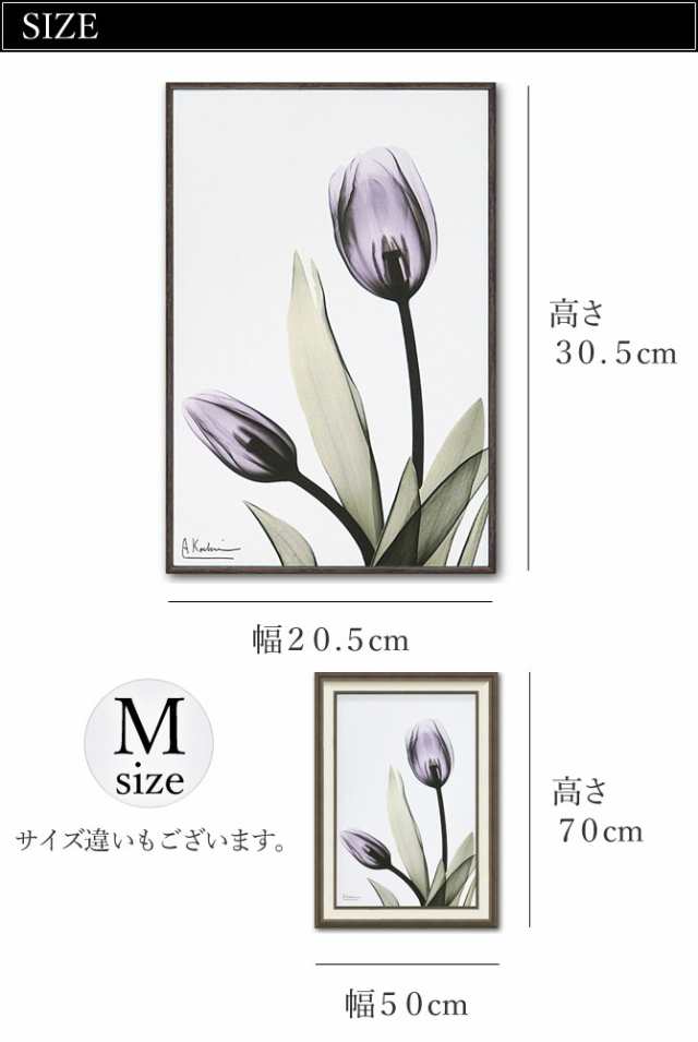 絵画 アートパネル 絵 花 モダン おしゃれ X Ray キャンバスアート チューリップ Xr の通販はau Pay マーケット ココチのくらし雑貨店