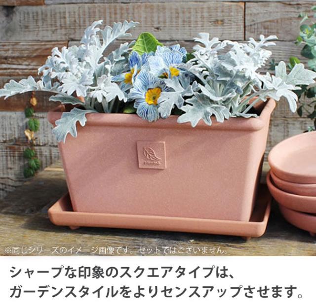 プラスガーデン 植木鉢・受皿セット トレーネロング Φ250ｍｍ 底穴あり チタンホワイト 信焼 535-11