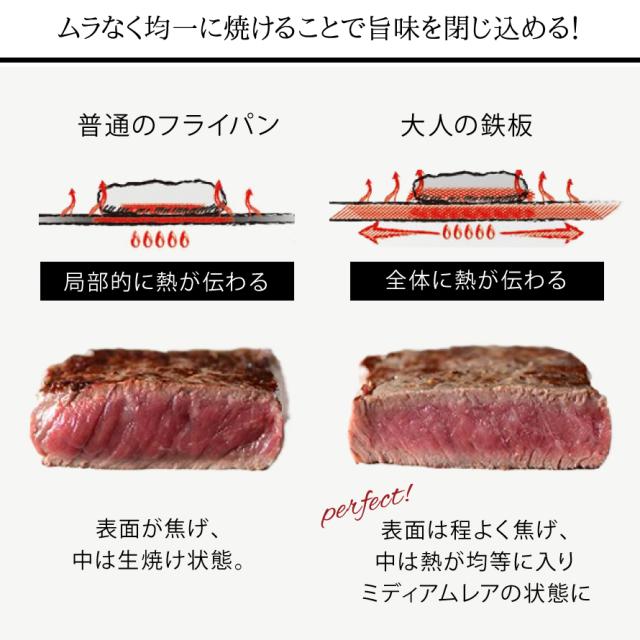 燕三条 フライパン 鉄 鉄板 蓋付き プレート 鉄板焼き 鉄板