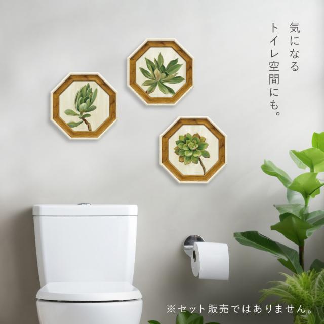 風水 開運 絵画 アートパネル 八角 観葉植物 グリーン 多肉植物