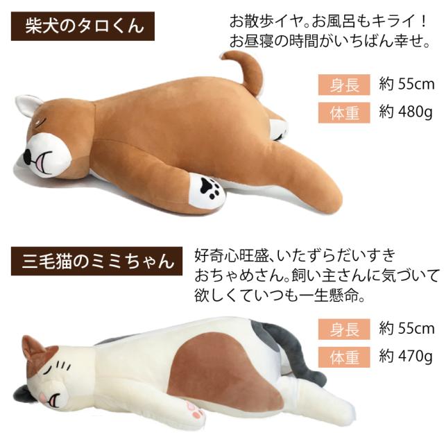 ナマケモノののんたくん BIG ぬいぐるみ 抱き付き ビッグサイズ タグ