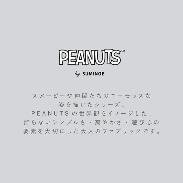 スヌーピー 玄関 マット 65×65cm 玄関マット ラグ 北欧 インテリア おしゃれ PEANUTS ピーナッツ Snoopy ウッドストックラブマット 滑り止め 防ダニ 日本製 スミノエ SUMINOE メーカー直送_9