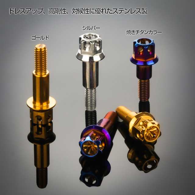 ブレーキレバー クラッチレバー 取付用 ピボットボルト Φ8×10mm M6×13mm P=1.00 焼きチタン A3ヘッド SUSステンレス  TH0539の通販はau PAY マーケット - オートパーツ専門店 EALE