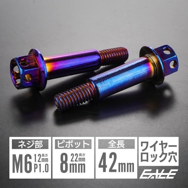 バイクレバー 取付用 ピボットボルト ピボット径8mm M6 P1.0