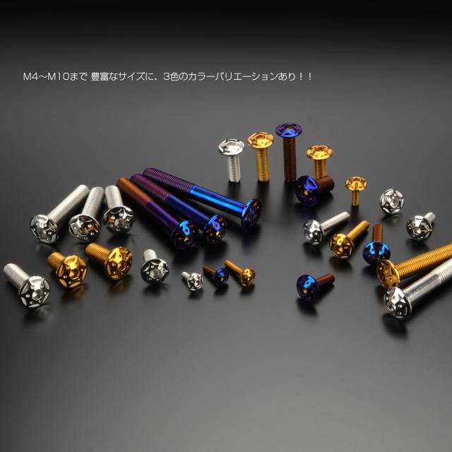 20個セット ボタンボルト スターホールヘッド M10×45mm P1.25 フランジ付 六角穴 SUS304 ステンレス  ゴールド TR0697-20SET_2