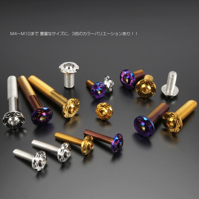20個セット SUS304 ステンレス製 フランジ付き ボタンボルト M10×65mm P1.25 六角穴  焼きチタン スノーヘッド TR0753-20SETの通販は