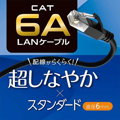 ミヨシ C6A-10-BL(ブルー) カテゴリー6A スタンダードLANケーブル 10mの通販はau PAY マーケット - イーベスト | au  PAY マーケット－通販サイト