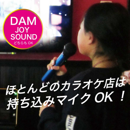 PENTATONIC(ペンタトニック) カラオケマイマイク GTM-150(クリアレッド)の通販は PENTATONIC(ペンタトニック) カラオケマイマイク GTM-150(クリアレッド)の通販は