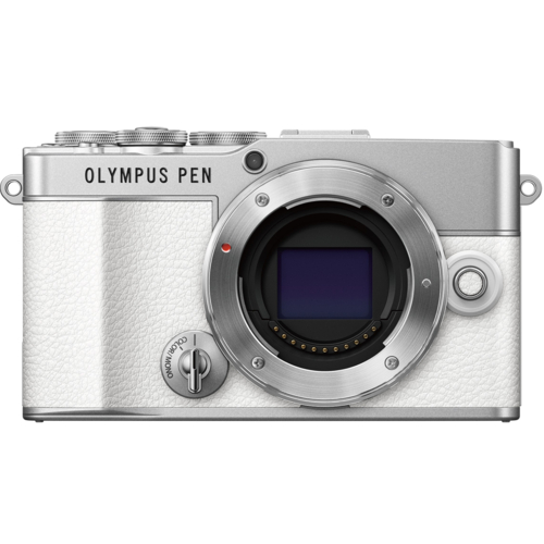 オリンパスOLYMPUS PEN-FT ボディ ≪綺麗なファインダー≫