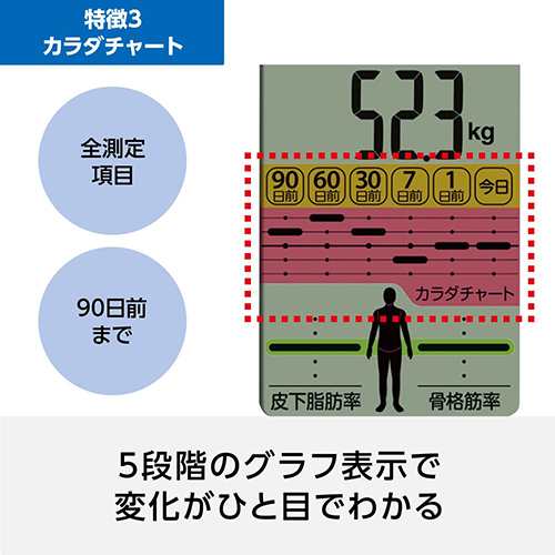 OMRON HBF-375 カラダスキャン 厚く 体重体組成計