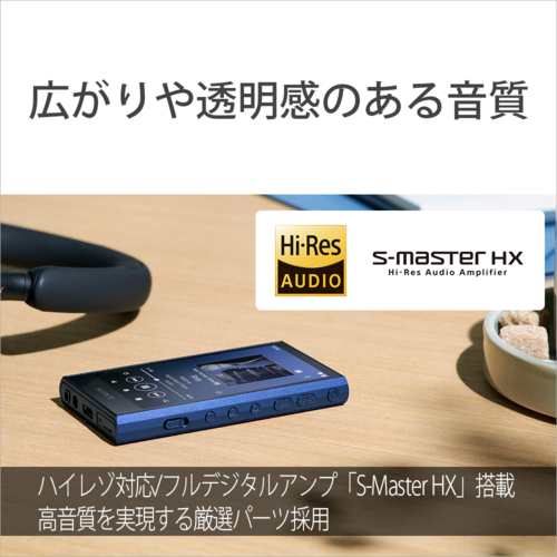 ソニー(SONY) NW-A307 L(ブルー) ハイレゾ音源対応 ウォークマン Aシリーズ 64GB