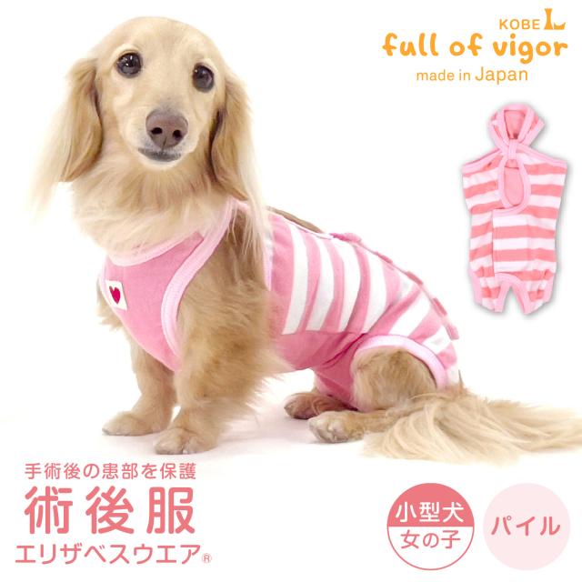 エリザベスカラー の代わりに 犬 服 夏 春 パイル ボーダー 術後服 エリザベスウエア(R) 女の子 ダックス 小型犬用 獣医師 去勢 避妊 手術 保温 軽量 ふんわり チワワ トイプードル ミニチュアダックス ダックスフンド 秋 冬